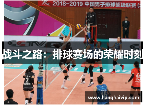 战斗之路：排球赛场的荣耀时刻