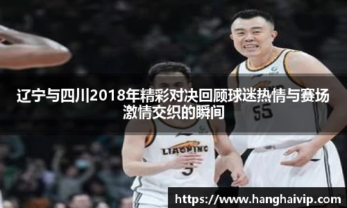 辽宁与四川2018年精彩对决回顾球迷热情与赛场激情交织的瞬间